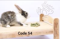 تخت چوبی در ابعاد 30×40