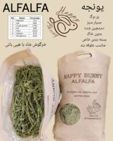 خرید انواع علوفه و یونجه خرگوش