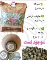 خرید یونجه خرگوش
