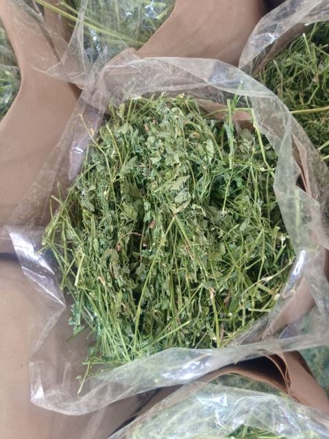 خرید یونجه خرگوش09126831694