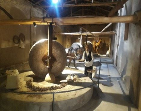 Torbat E Heydarieh Mazari Museum