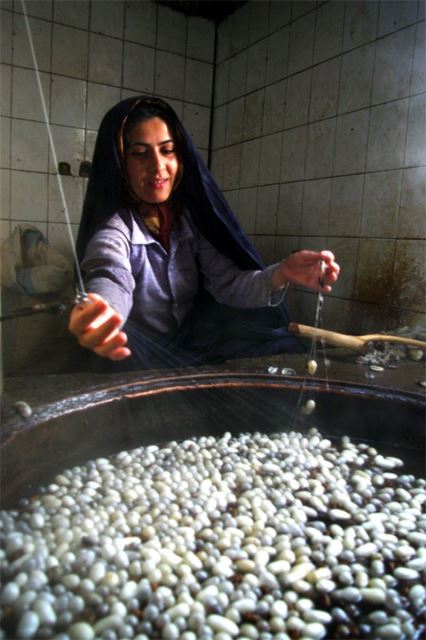 Torbat and torbat and Handicrafts