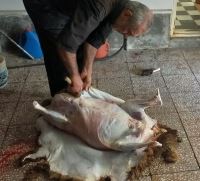 خیریه رضوان و مغفرت اصفهان