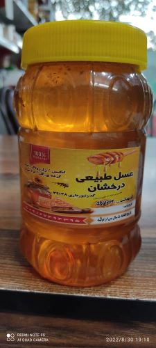 حکیم علی درخشان