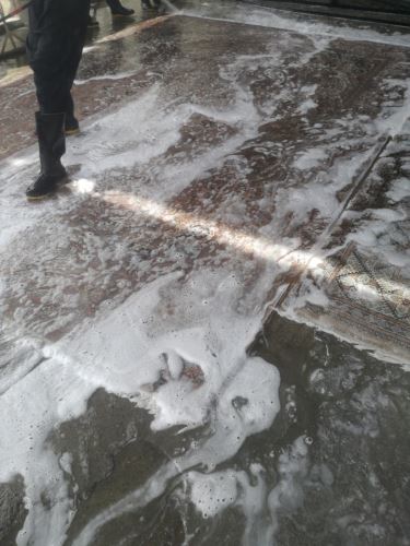 بهترین قالیشویی در آبشار