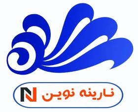 نارینه نوین 