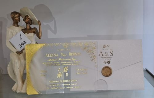 کارت عروسی ایلیا