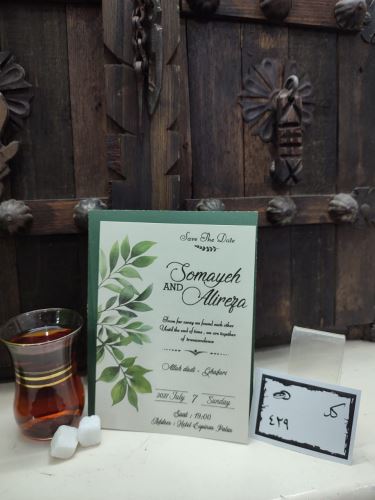 کارت عروسی ایلیا