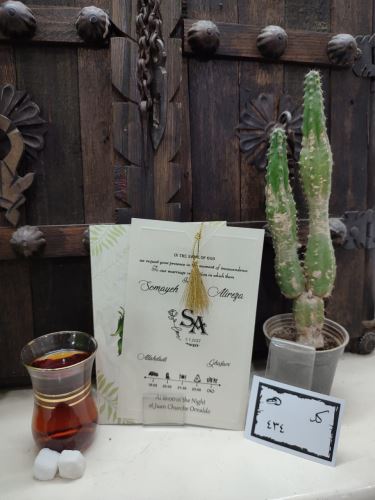 کارت عروسی ایلیا