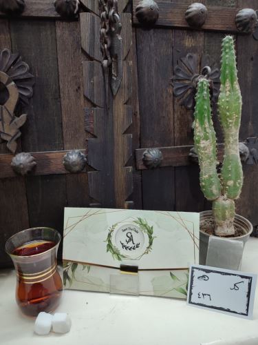 کارت عروسی ایلیا