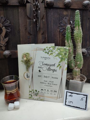 کارت عروسی ایلیا