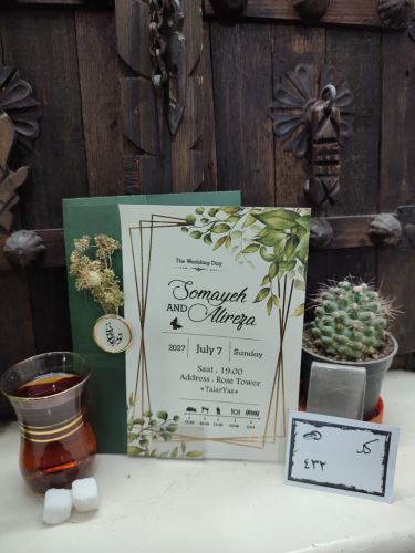 کارت عروسی ایلیا