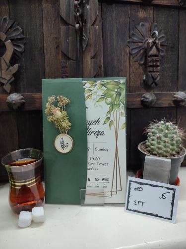 کارت عروسی ایلیا