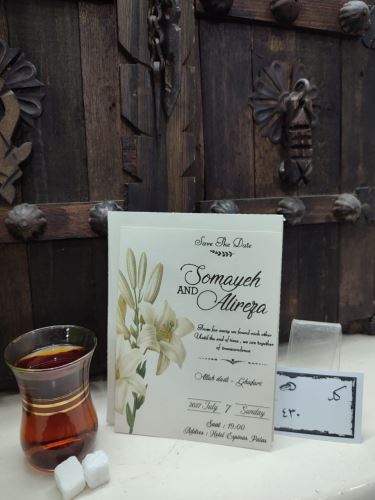 کارت عروسی ایلیا