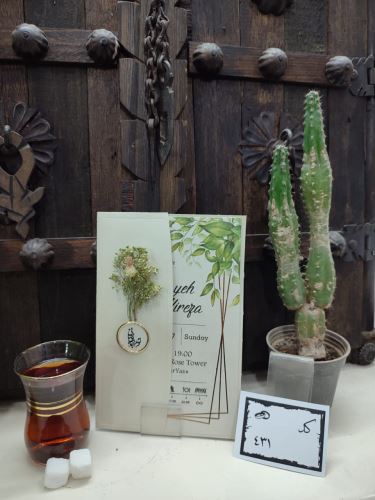 کارت عروسی ایلیا