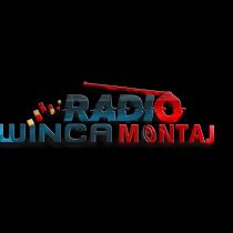 فروشگاه رادیو مونتاژ