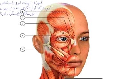 آموزشگاه آرایشگری زنانه در تهران