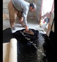 نمایندگی قیر پاسارگاد