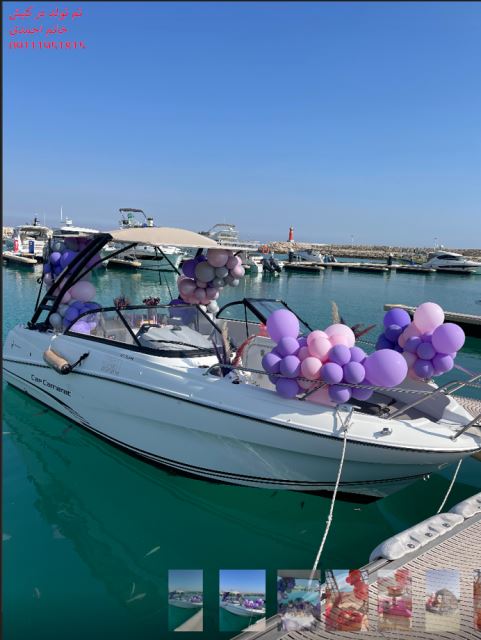 تم تولد در کیش