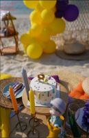 تم تولد با مدیریت خانم احمدی 09111951815