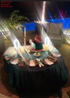 تم تولد با مدیریت خانم احمدی 09111951815