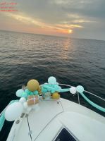 تم تولد با مدیریت خانم احمدی 09111951815