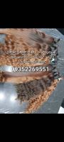 خریدار موی طبیعی در مشهد