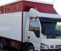 وانت بار در مجیدیه