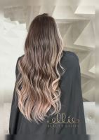 رنگ و لایت در سهروردی