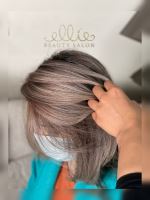 رنگ و لایت در سهروردی