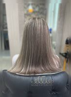 رنگ و لایت در سهروردی