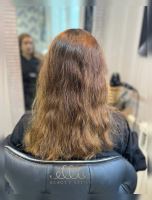 رنگ و لایت در سهروردی