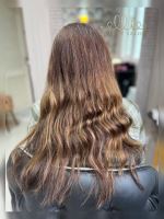 رنگ و لایت در سهروردی