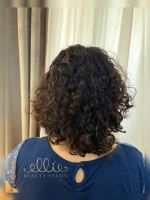 رنگ و لایت در سهروردی