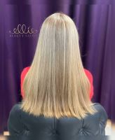 رنگ و لایت در سهروردی