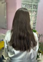 رنگ و لایت در سهروردی