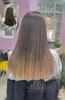 رنگ و لایت در سهروردی