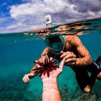 تفریحات آبی کیش