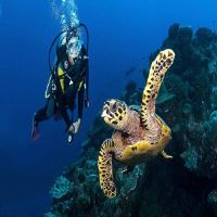 تفریحات آبی کیش