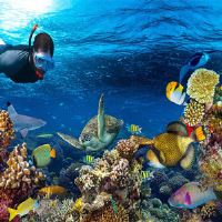 تفریحات آبی کیش