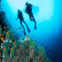 تفریحات آبی کیش