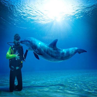 تفریحات آبی کیش