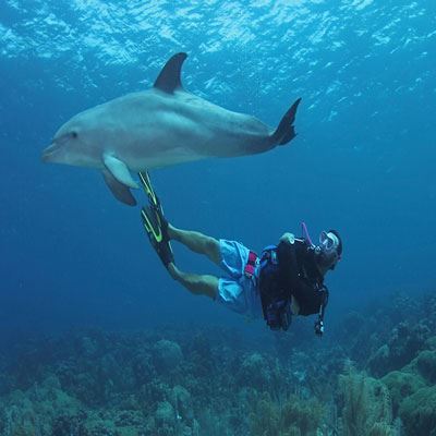 تفریحات آبی کیش