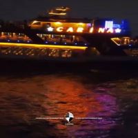 کشتی کارینا کیش