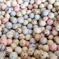 پخش چیپس و پفک هندی در کرج