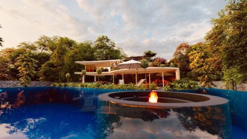 هلدینگ منصوری