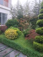 ویلای ارزان در شمال