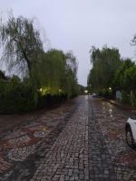 فروش ویلای ساحلی و جنگلی شمال