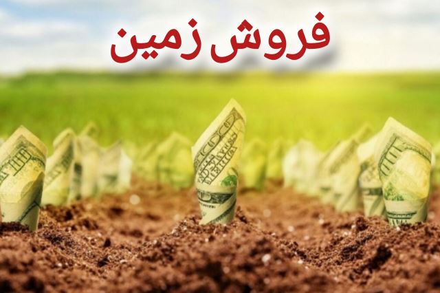 خرید زمین ساحلی و جنگلی شمال