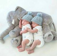 بهترین عطر و ادکلن در اصفهان